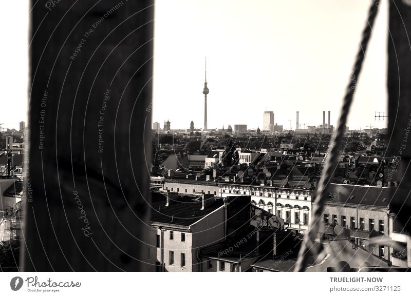 weitsichtig | über den Dächern von Berlin 2 Tourismus Ferne Sightseeing Städtereise Berliner Fernsehturm Hauptstadt Stadtzentrum Skyline Haus Hochhaus Turm