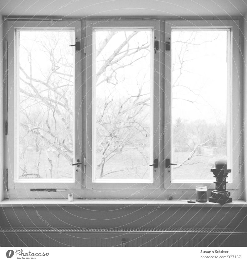night mantra. Baum Haus Fenster Erholung Fensterblick Altbau Kerze Mantra Heizkörper Hoffnfung Buche Lieblingsplatz ruhig Fensterfront Schwarzweißfoto