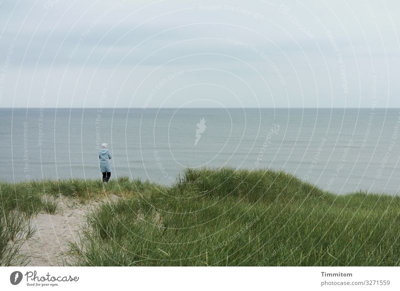 naturverbunden | den Moment genießen Natur Frau Blick Nordsee Düne Dünengras Himmel Horizont Dänemark Wasser Meer Wolken Sand Landschaft Nordseeküste