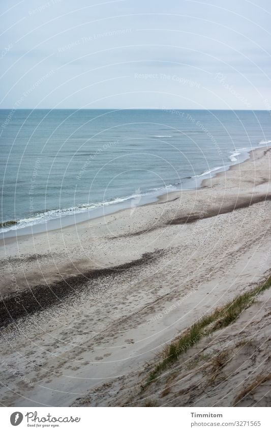 Blick hinab auf Strand und Nordsee (2) Düne Sand Wasser Wellen Steine Horizont blau Dünengras Dänemark Spuren Himmel Menschenleer Küste Ferien & Urlaub & Reisen