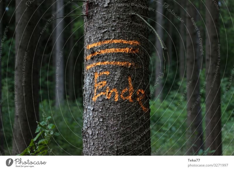 #Das Ende Umwelt Natur Landschaft Pflanze Tier Zeichen Schriftzeichen Schilder & Markierungen Hinweisschild Warnschild ästhetisch Farbfoto Außenaufnahme