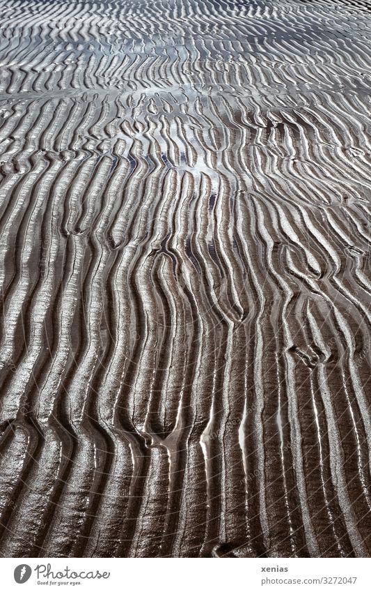 Wattboden mit Linien bei Ebbe Klima Klimawandel Küste Strand Nordsee Wattenmeer Sand Wasser nass blau braun Natur Ferne Furche Xenias Gedeckte Farben
