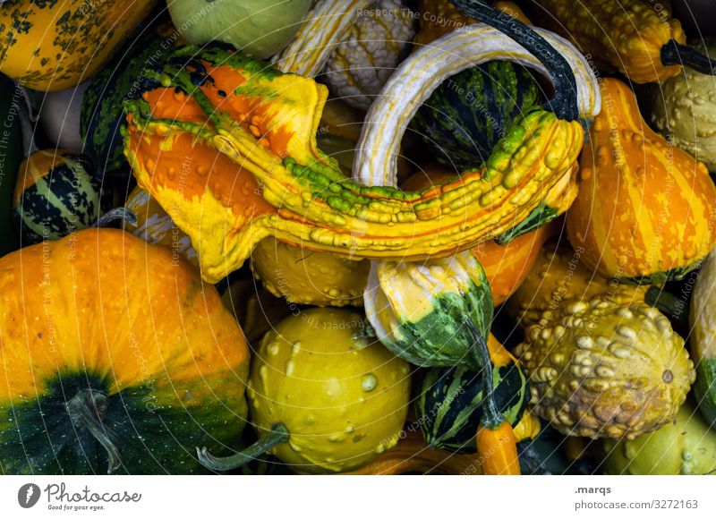 Kürbis (45%) Lebensmittel Gemüse Ernährung Wochenmarkt Bioprodukte frisch Gesundheit viele Farbfoto Außenaufnahme Nahaufnahme Menschenleer
