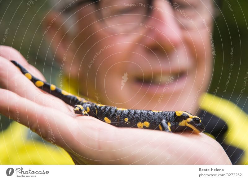 Feuersalamander Freizeit & Hobby wandern Mann Erwachsene Natur Tier Salamander 1 Ornament atmen beobachten berühren glänzend krabbeln leuchten Blick warten