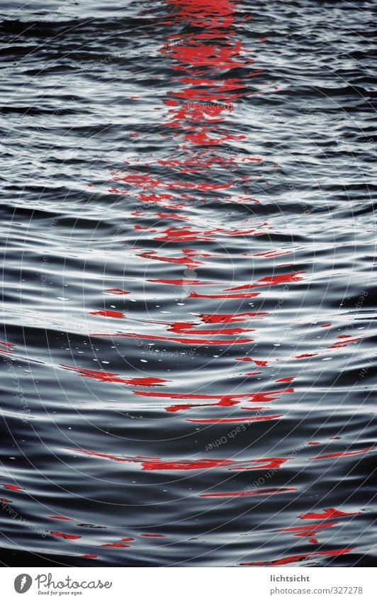Blutbad Urelemente Wasser Sonnenaufgang Sonnenuntergang Wellen Küste Nordsee Ostsee Meer blau rot Umweltverschmutzung Wellenform Wellenlinie