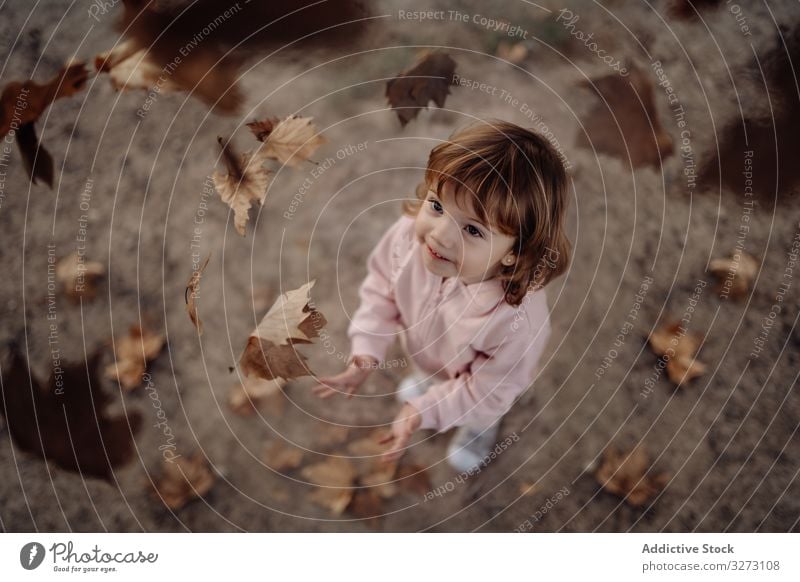 Fröhliches Kind verstreut Blätter auf Rasen im Park kotzend Herbst Kindheit freudig genießend Spaß heiter Natur fallen Spielen Laubwerk Bewegung Aufregung