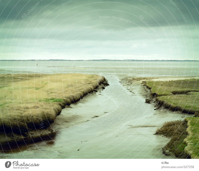 Rømø | Glücksmomente Landschaft Wasser Wolken Küste Nordsee Erholung Unendlichkeit blau gelb grau grün türkis weiß Dänemark Farbfoto Gedeckte Farben