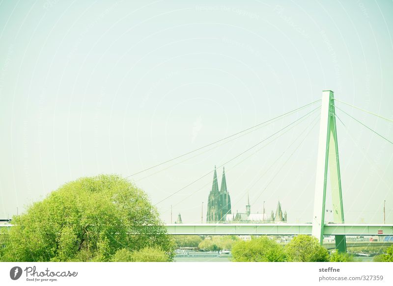 Helau! Baum Köln Dom Brücke Sehenswürdigkeit Wahrzeichen Kölner Dom ästhetisch Severinsbrücke Rheinauhafen Farbfoto Panorama (Aussicht)