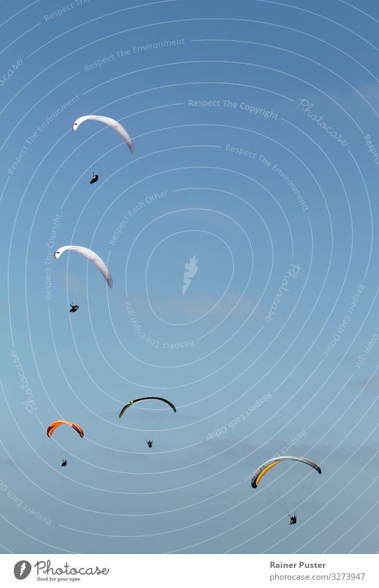 Fünf Paraglider fliegen durch den blauen Himmel Abenteuer Ferne Sommer Sommerurlaub Luft Wolkenloser Himmel Schönes Wetter Küste San Diego La Jolla frei