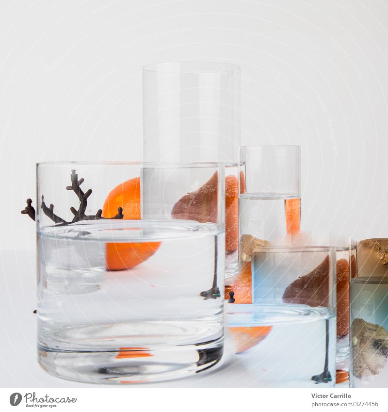 Fruchtreflexionen im Glas mit Wasser ästhetisch Coolness elegant Farbe Kreativität Farbfoto mehrfarbig Innenaufnahme Studioaufnahme Menschenleer
