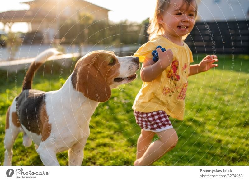 Süßes kleines Mädchen, das an einem Sommertag von einem Beagle-Hund im Garten gejagt wird. 12-18 Monate Kind im Freien bezaubernd Tier Baby Hintergrund