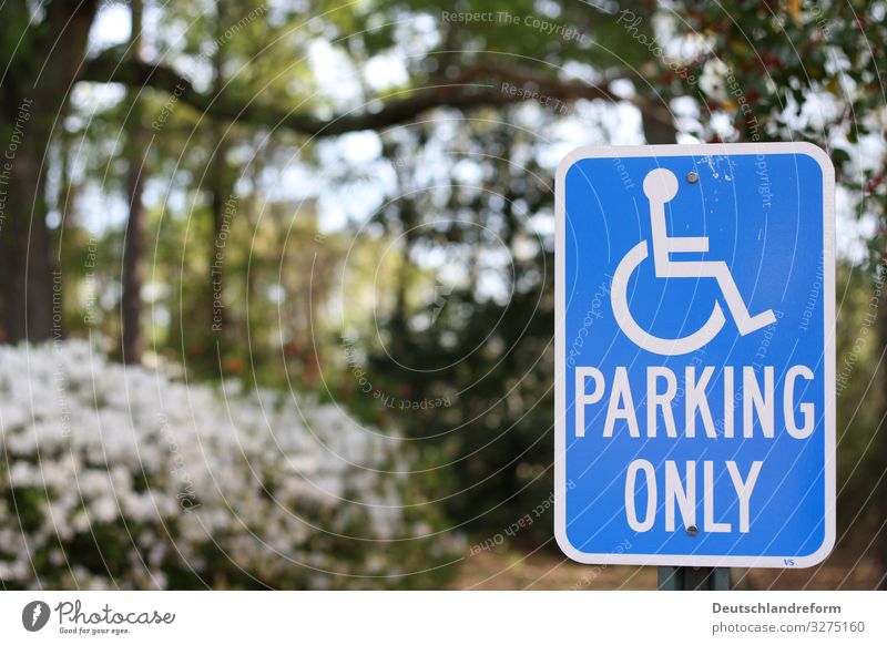 Parking Personenverkehr Rollstuhl Verkehrszeichen blau grün weiß Solidarität Selbstständigkeit Mobilität Güterverkehr & Logistik Farbfoto Außenaufnahme Tag