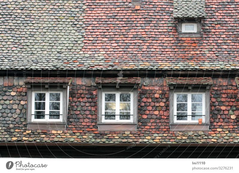 Schindeldach Straßburg Bauwerk Gebäude Fassade Fenster Dach Dachrinne Sehenswürdigkeit braun mehrfarbig grün schwarz türkis weiß Dachziegel Holzschindel