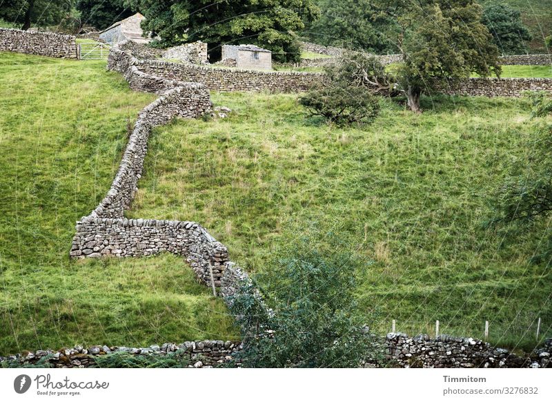 Dry Stone Walls Ferien & Urlaub & Reisen Umwelt Landschaft Pflanze Baum Gras Sträucher Wiese Yorkshire Großbritannien Gebäude Wege & Pfade Stein einfach