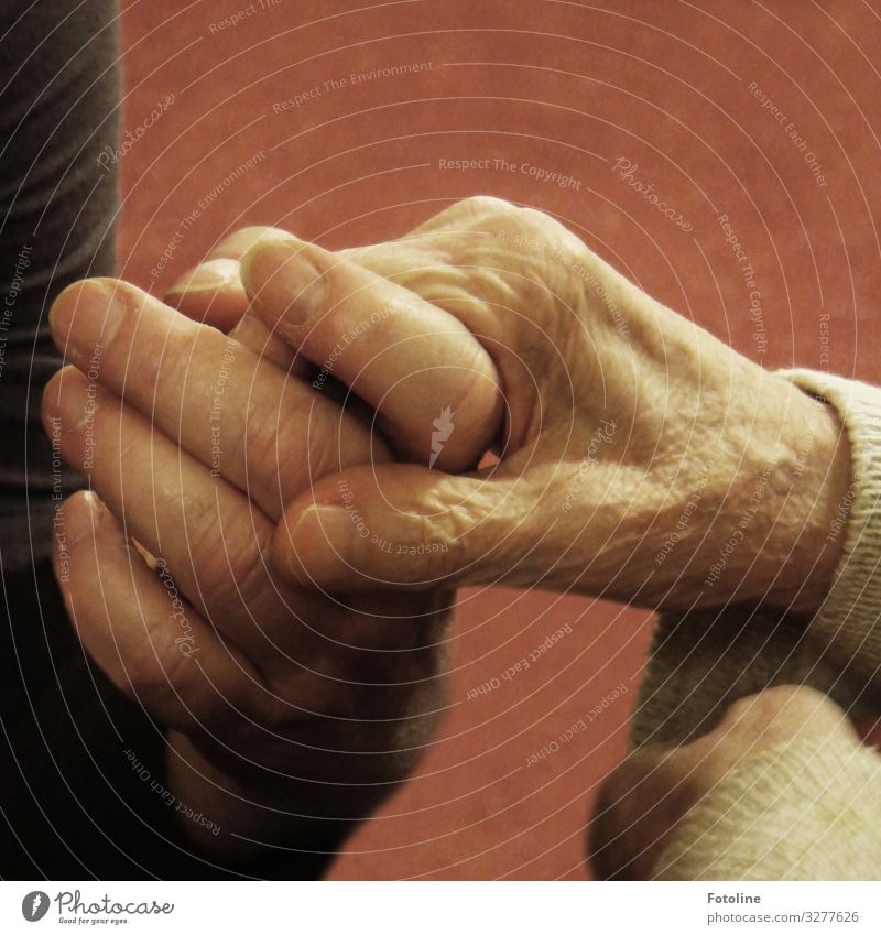 Demenz... Mensch feminin Weiblicher Senior Frau Großmutter Leben Haut Hand Finger 2 60 und älter alt Krankheit nah Fingernagel Bekleidung Gefühle Liebe