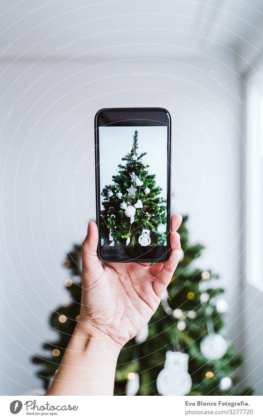 Frau, die zu Hause mit der Hand ein Bild vom geschmückten Weihnachtsbaum macht Handy Technik & Technologie Grafik u. Illustration Bildschirm Gerät Halt grün