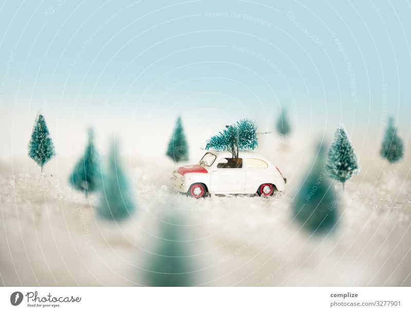 Driving Home for Christmas Tree Lifestyle kaufen Stil Freude Freizeit & Hobby Feste & Feiern Weihnachten & Advent Silvester u. Neujahr Umwelt Natur Landschaft