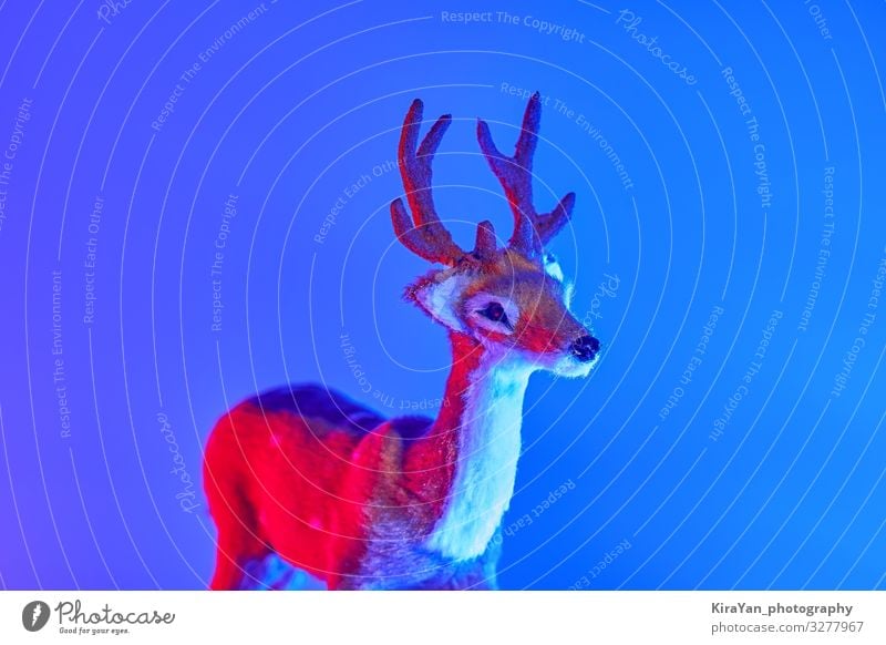Modern Art Hirsch mit Schatten in Duoton Rot und Blau Design Dekoration & Verzierung Silvester u. Neujahr Spielzeug glänzend hell trendy modern blau rosa rot