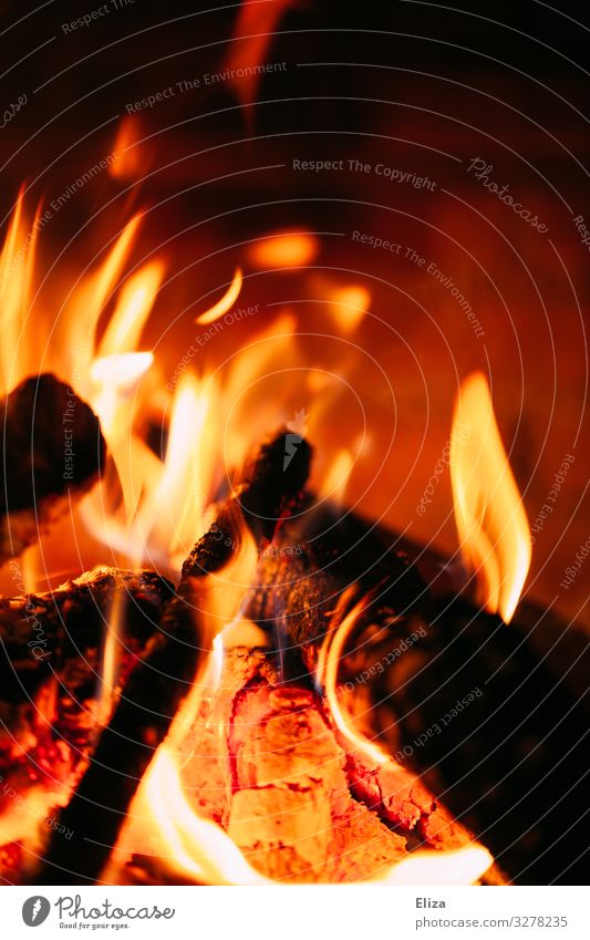 Nahaufnahme eines brennenden Feuers mit Flammen heiß Feuerstelle Kaminfeuer Holz rot gelb Wärme Farbfoto Innenaufnahme Menschenleer Textfreiraum oben