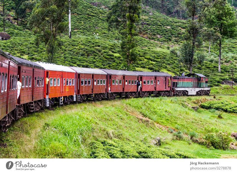 mit dem Zug die landschaftlich reizvolle Bergstrecke in Sri Lanka befahren Ferien & Urlaub & Reisen Ausflug Berge u. Gebirge Baum Gras Wald Urwald Verkehr