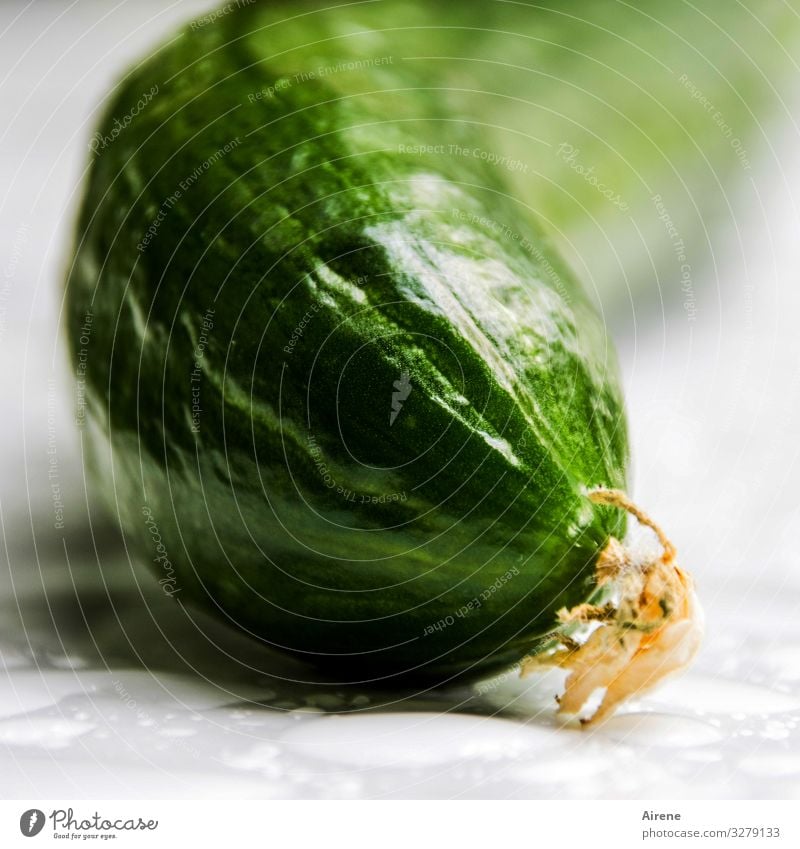 Warum ist die Gurke krumm? Wachstum grün genießen Essen roh Rohkost Bioprodukte frisch Gesunde Ernährung Vegetarische Ernährung Vegane Ernährung Diät lecker