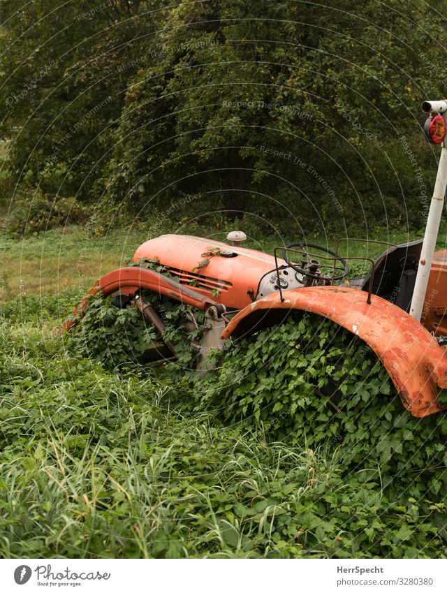 Nature conquers all Umwelt Pflanze Gras Sträucher Grünpflanze Wildpflanze Feld Fahrzeug Traktor Metall festhalten warten authentisch außergewöhnlich einzigartig