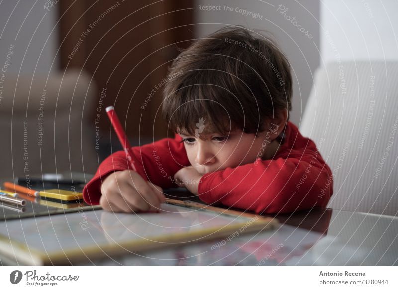 Heimarbeiter Tisch Wohnzimmer Kind Schule Junge Kindheit Buch sitzen niedlich Kaukasier konzentrierend häusliches Leben Bildung heimwärts Hausaufgabe anlehnen