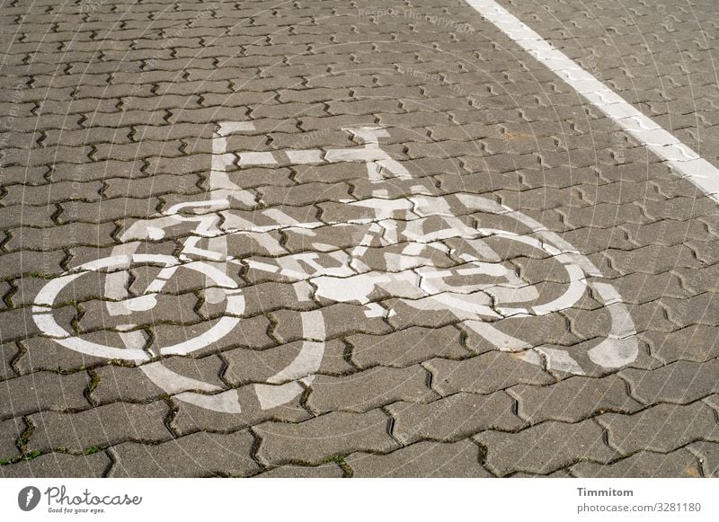Doppelradler Fahrradfahren Verkehr Stein Zeichen einfach braun grau schwarz Gefühle Irritation Fahrradweg Pflastersteine Farbe paarweise Farbfoto Außenaufnahme