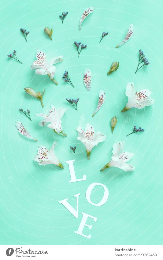 Blumen und das Wort LOVE auf hellgrünem Hintergrund Design Dekoration & Verzierung Valentinstag Muttertag Hochzeit Frau Erwachsene Schriftzeichen oben weiß