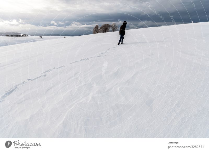 Eiszeit | Unwetter Abenteuer Mensch 1 Umwelt Natur Landschaft Gewitterwolken Winter Frost Schnee authentisch kalt Stimmung Klima Wege & Pfade Zukunft Farbfoto