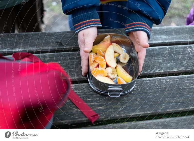 Picknick Lebensmittel Frucht Essen Dose wandern Pause lecker Gesunde Ernährung Farbfoto Außenaufnahme
