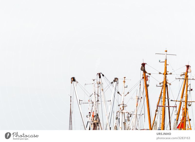 Schiffsmasten vor hellem Hintergrund Segeln Segelboot maritim braun grau weiß Ferien & Urlaub & Reisen Mast Mastbaum Farbfoto Außenaufnahme Menschenleer