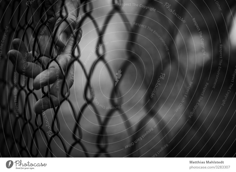 Border Hand Zaun Metall berühren dunkel schwarz weiß Gefühle Sorge Sehnsucht Fernweh Einsamkeit Platzangst Überwachung Verbote Schwarzweißfoto Außenaufnahme