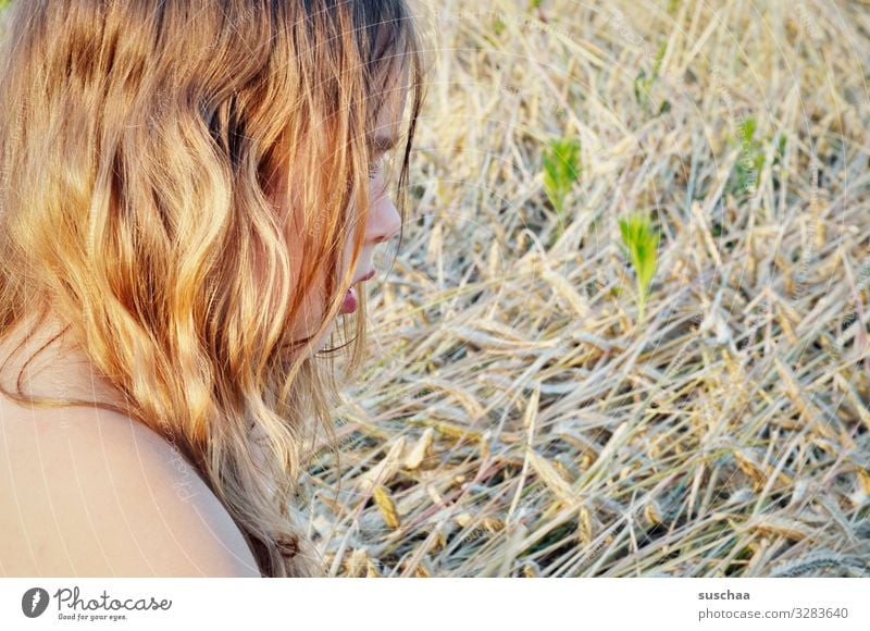 sommer im haar Haare & Frisuren blond wellig gelockt sommerlich Sonnenlicht Wärme Profil Kopf Kind Mädchen Schulter Feld Stroh Getreidefeld Außenaufnahme
