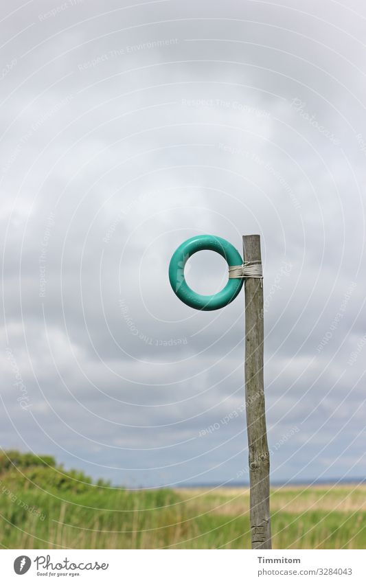 O| Ring Kunststoff Pfosten Holz Holzpfahl befestigt Zeichen Hinweis Fjord gras grün Hintergrund Himmel Wolken Dänemark Menschenleer Farbfoto Natur