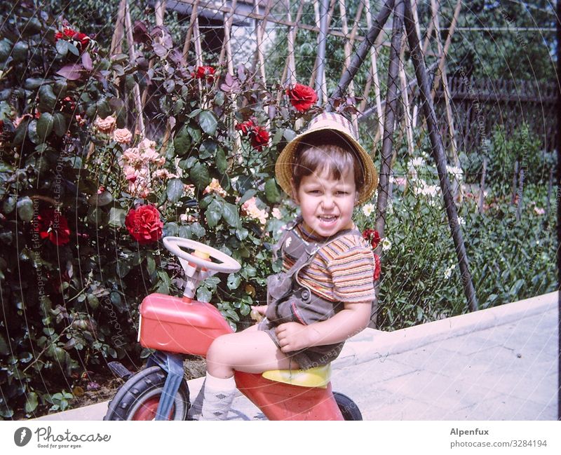 Guns N' Roses Mensch maskulin Kleinkind Junge 1-3 Jahre Dreirad beobachten Lächeln Blick Spielen Freude Glück Fröhlichkeit Zufriedenheit Abenteuer Beginn