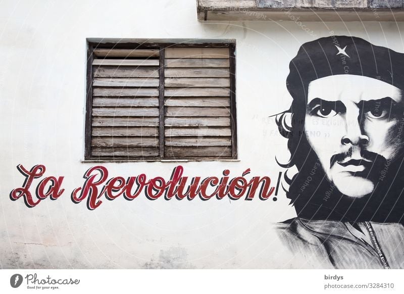 El Che maskulin Gesicht 1 Mensch Kuba Fassade Fenster Zeichen Schriftzeichen Graffiti authentisch Bekanntheit Erfolg positiv grau rot schwarz weiß Tapferkeit
