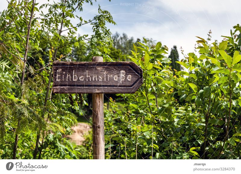 Einbahnstraße Hinweisschild Holzschild Natur Landschaft Pfeil Richtung Wegweiser rechts Orientierung Wege & Pfade