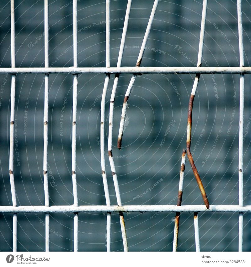 Geschichten vom Zaun (63) Mauer Wand Gitter Metall Rost Linie eckig hässlich kaputt rebellisch Spitze stachelig trashig Stadt Müdigkeit Erschöpfung Stress