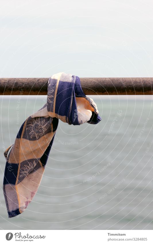 Wen die Muse küsst | der formt aus einem Fundstück einen Dackel gestalten Tuch Nordsee Dänemark Geländer Metall Menschenleer Wasser Außenaufnahme