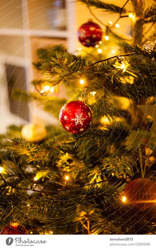 Ein Tannenbaum geschmückt mit roten Kugeln Glitzernd glänzend Weihnachten Weihnachten & Advent Weihnachtsbaum Weihnachtsdekoration Dekoration & Verzierung