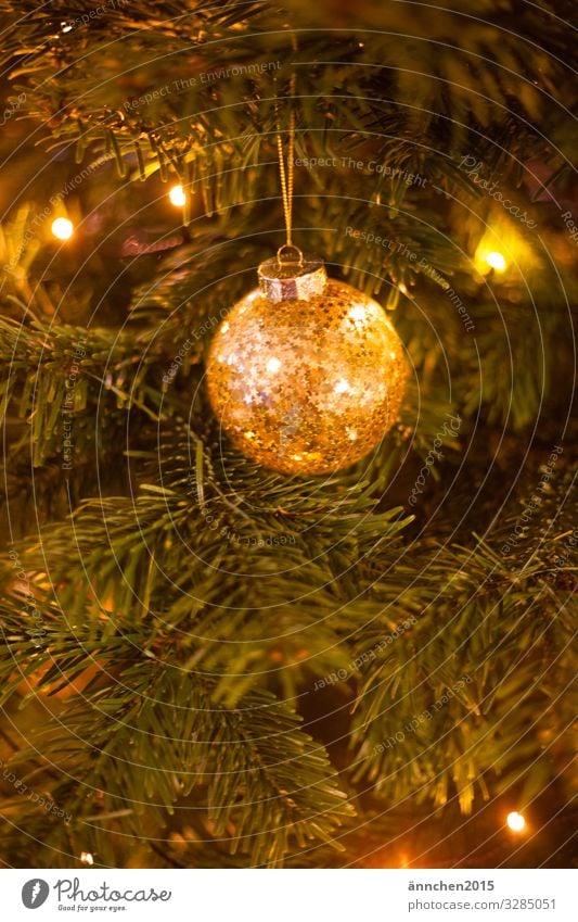 Gold glitzernde Weihnachtsbaumkugel die an einem Tannenbaumzweig hängt Weihnachten Fest Jahreszeiten Winter Weihnachten & Advent Dekoration & Verzierung