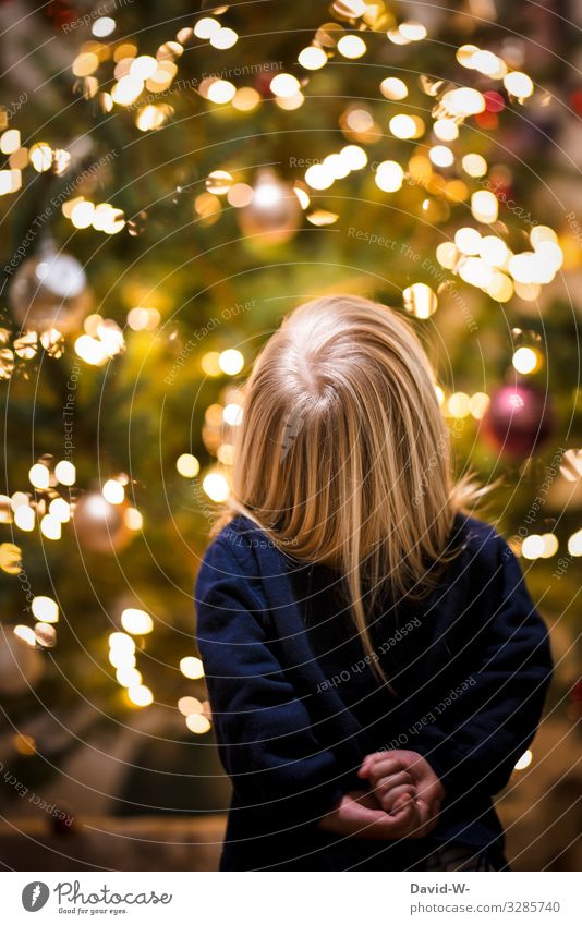 Weihnachten - Kind steht ehrfürchtig vor einem Weihnachtsbaum Ehrfurcht Freude Begeisterung vorfreude niedlich Glaube Weihnachtsmann Mädchen Lichterkette corona