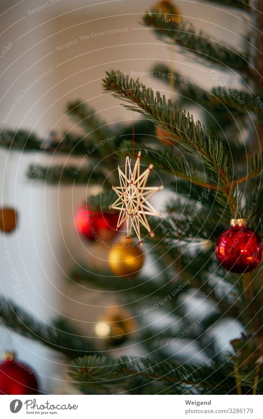 Weihnachtsbaum Lifestyle Reichtum harmonisch Weihnachten & Advent Accessoire Schmuck Zeichen leuchten authentisch achtsam Stern (Symbol) Farbfoto Innenaufnahme