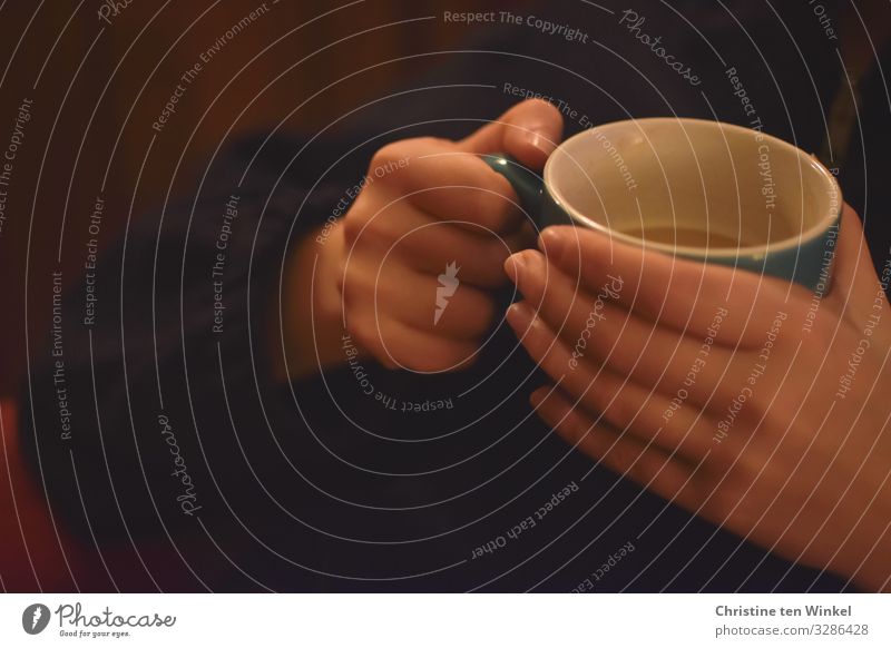 weibliche Hände halten eine Tasse mit Kaffee Getränk Heißgetränk Becher feminin Junge Frau Jugendliche Hand 18-30 Jahre Erwachsene festhalten ästhetisch