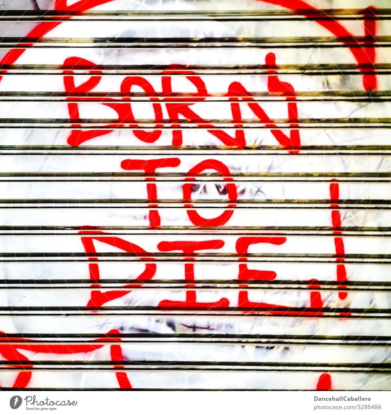 geschriebes Graffiti auf einem Rolltor gerboren um zu sterben Geboren Tod Geburt Garagentor Rollladen Lifestyle Stadt Aussage Mauer Wandel & Veränderung