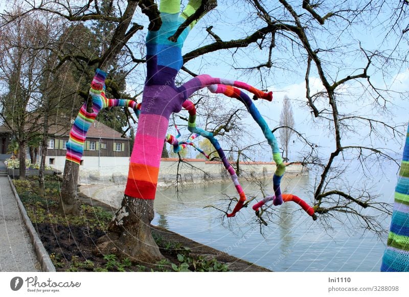 Urban Knitting Freude Freizeit & Hobby Handarbeit stricken Kunst Natur Landschaft Pflanze Wasser Frühling Schönes Wetter Baum Park Seeufer Insel Bodensee