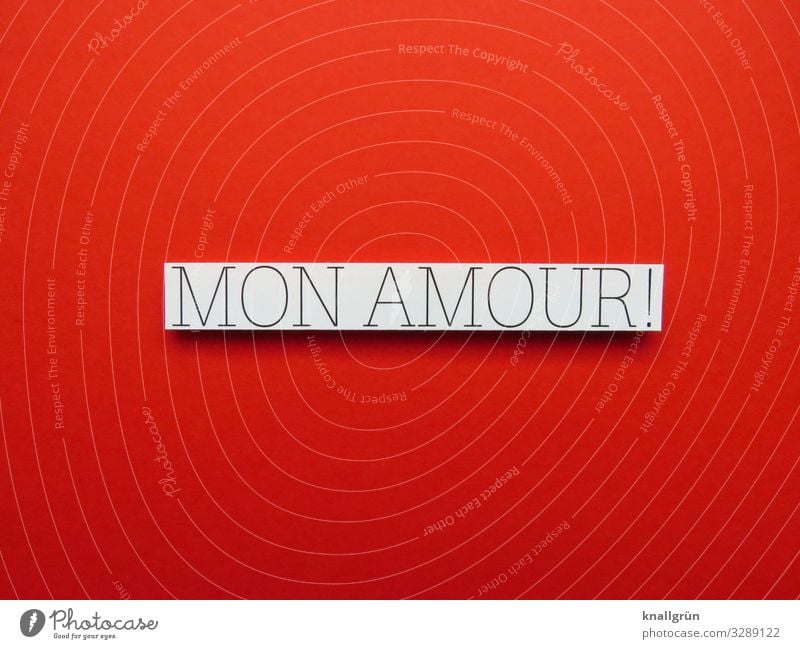 Mon Amour! Französisch Liebe Liebeserklärung Herz Romantik Verliebtheit Gefühle Liebesbekundung Liebesgruß Valentinstag Stimmung Glück innig Vertrauen