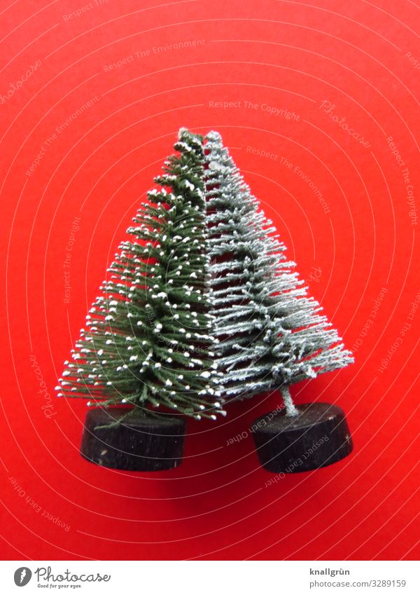 Unzertrennlich Pflanze Baum Weihnachtsbaum Dekoration & Verzierung Deko-Bäumchen berühren Zusammensein grün rot weiß Gefühle Kontakt Zusammenhalt anlehnen