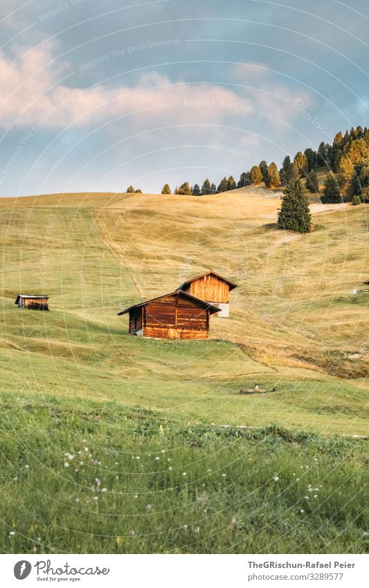 Morgenstimmung - Seiser Alm Natur Landschaft blau grün rosa Alpen alpenhütte Hüttenferien Morgendämmerung Wolken Wald Wiese Weide Italien Südtirol Gras Berghang